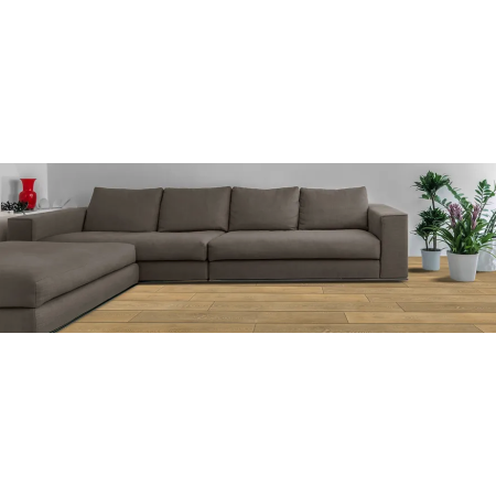 THE RIDGE COLLECTION