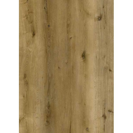 State Crest Rigid Core Collection
