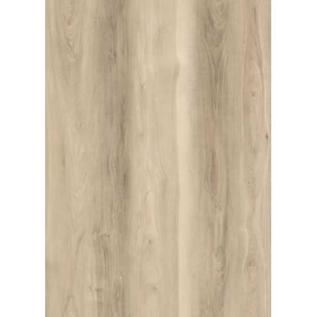 State Crest Rigid Core Collection