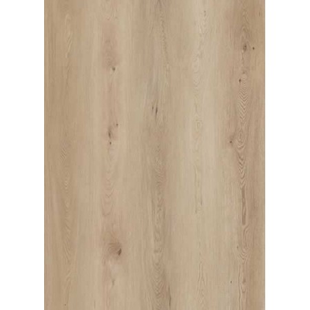 State Crest Rigid Core Collection