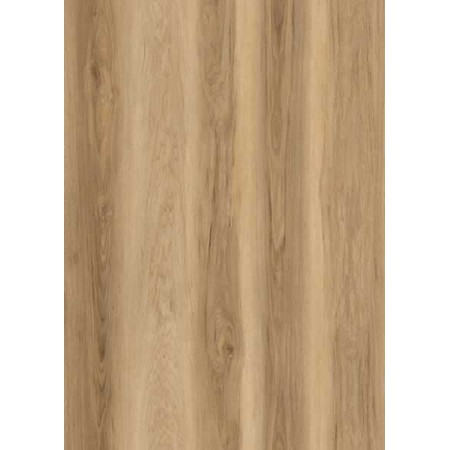 State Crest Rigid Core Collection