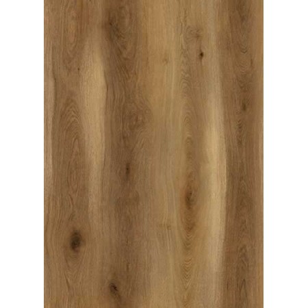 State Crest Rigid Core Collection